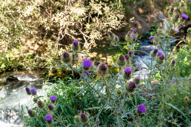 Similar image 21106375