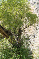 Similar image 21106378