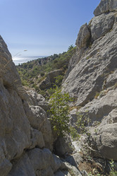 Similar image 21102867