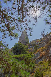 Similar image 21102870