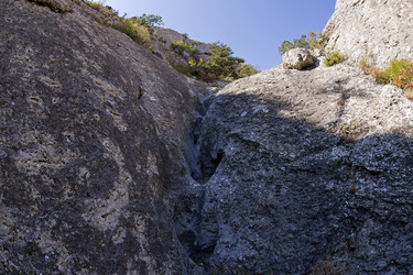 Similar image 21102871