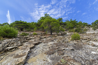 Similar image 21102873