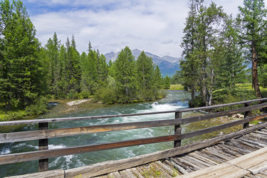 Similar image 21102876