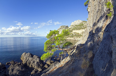 Similar image 21102881