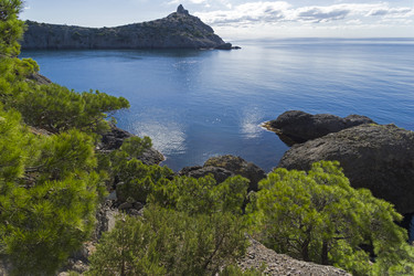 Similar image 21102882