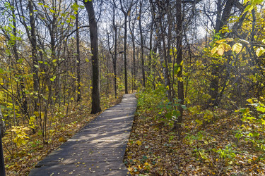 Similar image 21102888