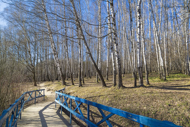 Similar image 21102891