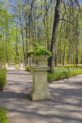 Similar image 21102972