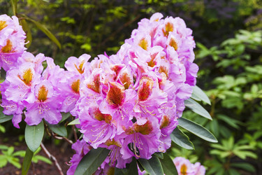 Similar image 21102976