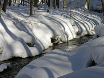 Similar image 21102981