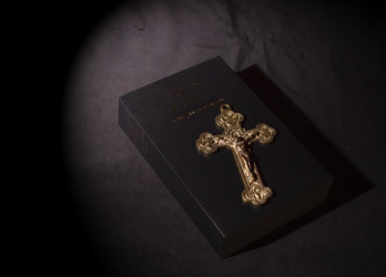 Similar image 21107999