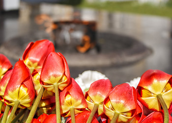 Similar image 21108025