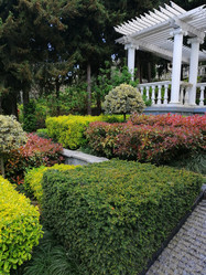 Similar image 21104581