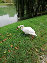 Similar image 21104582