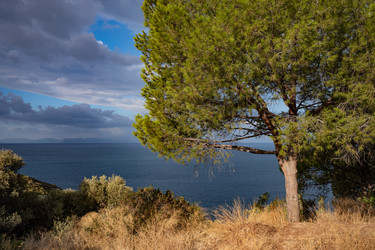 Similar image 21102996