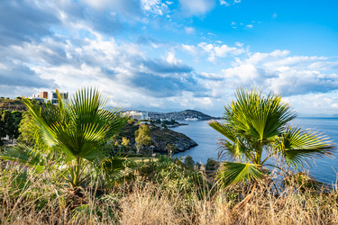 Similar image 21102998