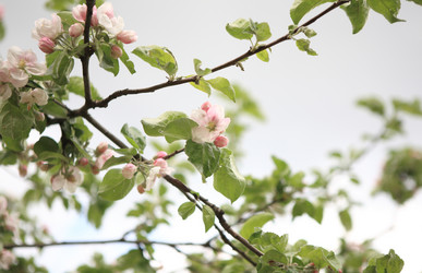 Similar image 21118581