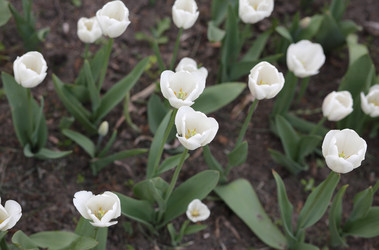 Similar image 21118589