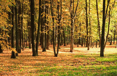 Similar image 21118617