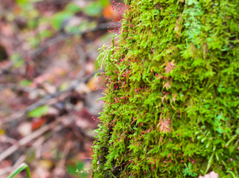 Similar image 21104311