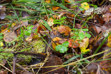 Similar image 21104312