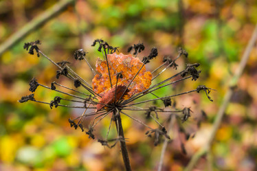 Similar image 21104313