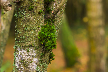 Similar image 21104314