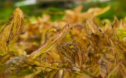 Similar image 21104318