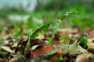 Similar image 21114302