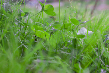 Similar image 21114303