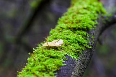 Similar image 21104320