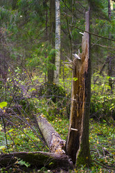 Similar image 21104321