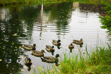 Similar image 21126255