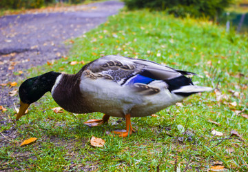 Similar image 21126256