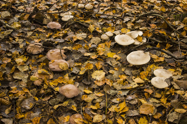 Similar image 21104322