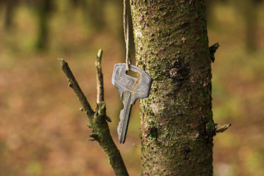 Similar image 21104323