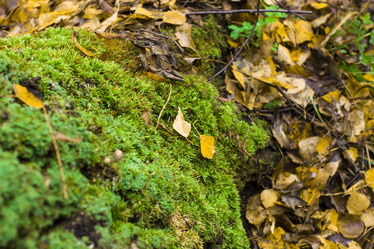 Similar image 21104324