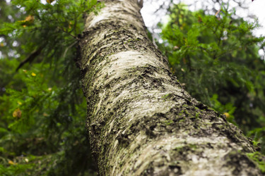 Similar image 21114304