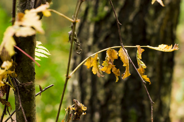 Similar image 21114305