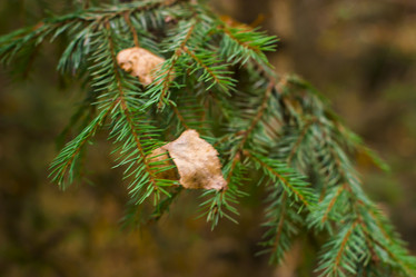 Similar image 21104325