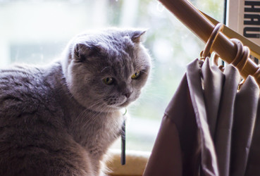 Similar image 21127097