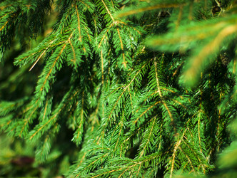 Similar image 21114307