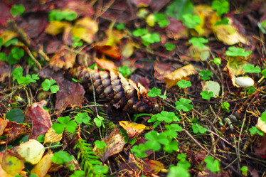 Similar image 21114309