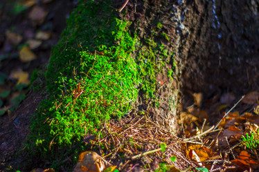 Similar image 21104326