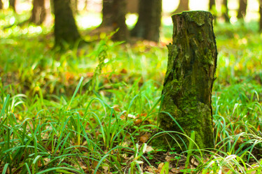 Similar image 21114312