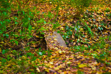 Similar image 21114313