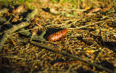 Similar image 21114314