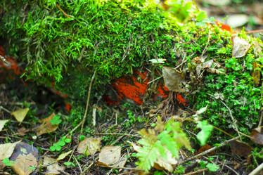 Similar image 21114315