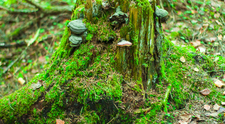 Similar image 21104328