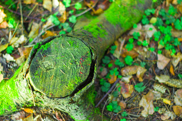 Similar image 21104330